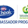 School Ambassador program